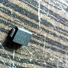 p31b-sh3kl