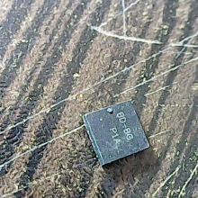 bd-bg-p1a