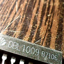 dbl1009
