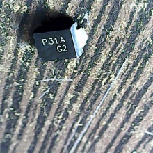 p31a-g2
