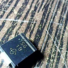 sg-1b
