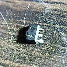 cdc-p30