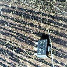 b7-7y