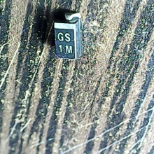 gs-1m