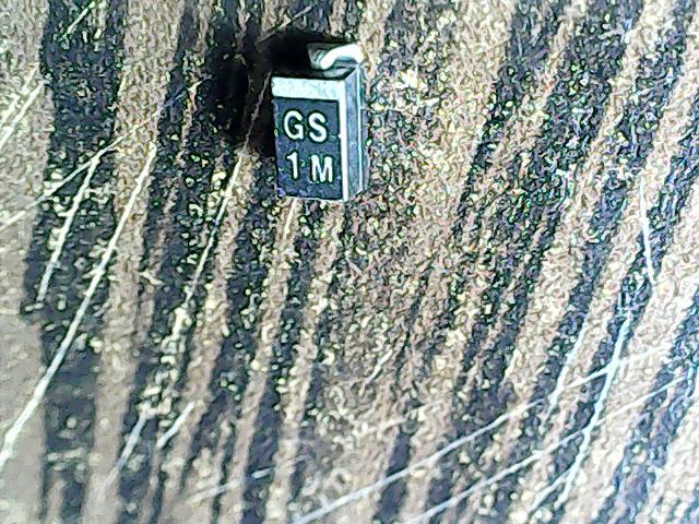 gs-1m