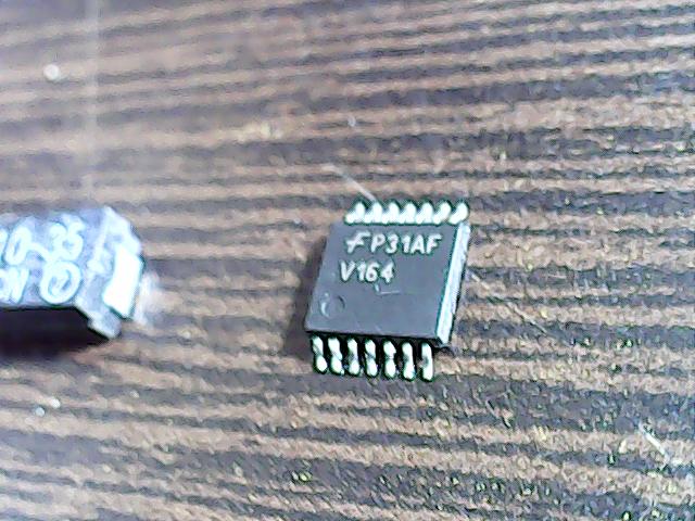 p31af-v164