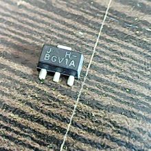 bgv1a