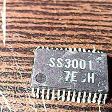 ss3001