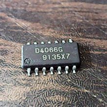 d4066g