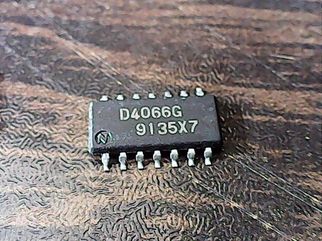 d4066g