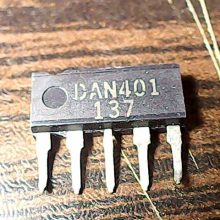 dan401