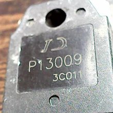 p13009
