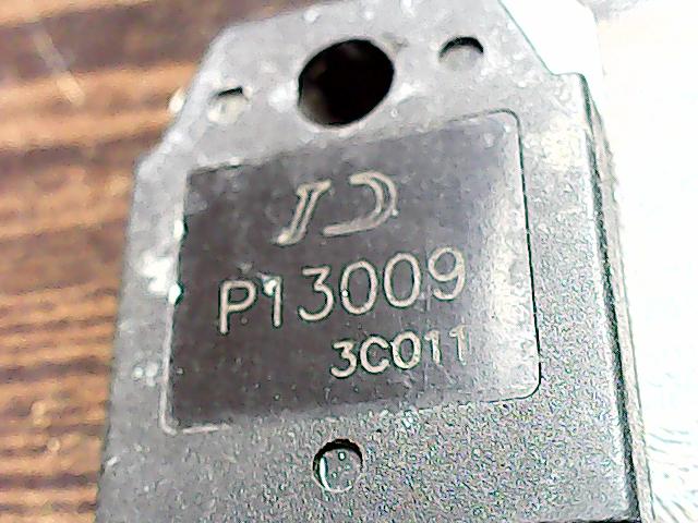 p13009