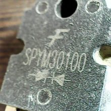 spym30100